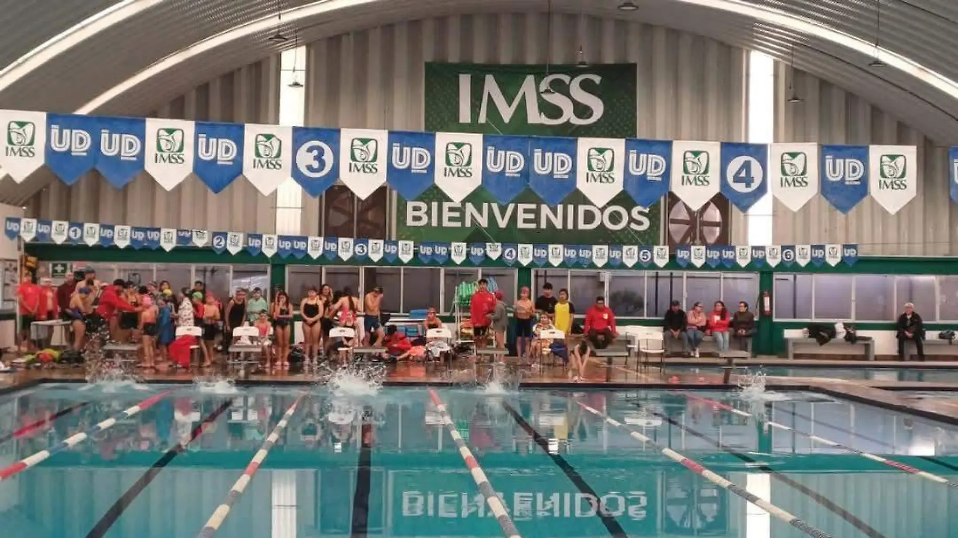 DEP Natacion